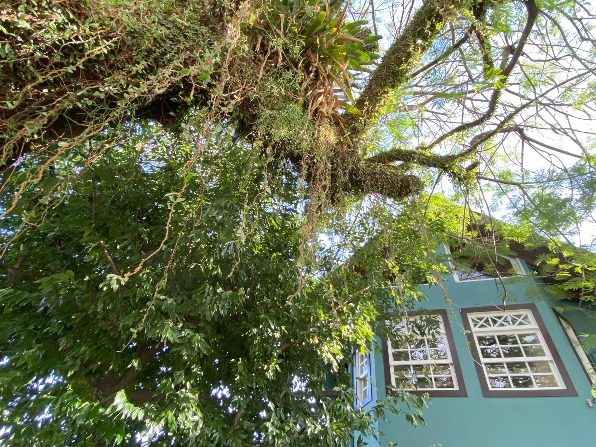 Solar Das Petalas Guest House Florianopolis Exterior photo